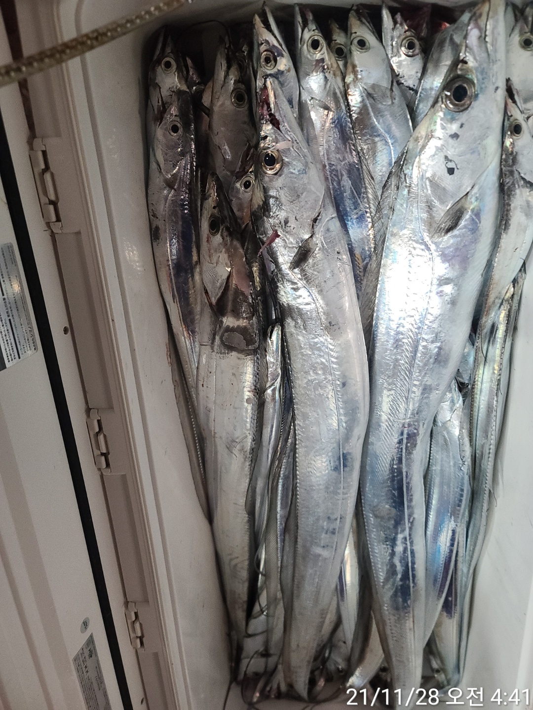 media&amp;token=abb975b1-0589-4578-88a6-27f2f804114e