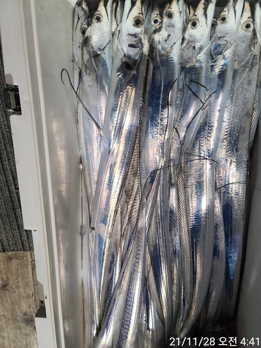 media&amp;token=af71e1bc-e6be-432c-96bd-08701fed8197