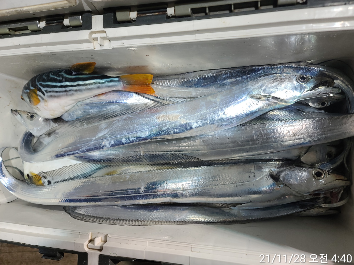 media&amp;token=08889f8e-c854-4ddf-a19a-5ab6ef2474db