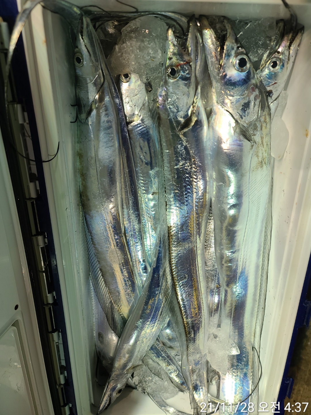 media&amp;token=0d52684d-177d-427b-828b-2eaa8764ccc3