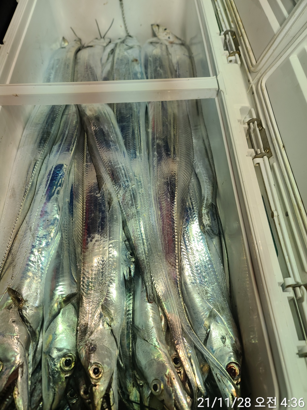 media&amp;token=9ae34d35-a679-41ba-906f-e8b254738457