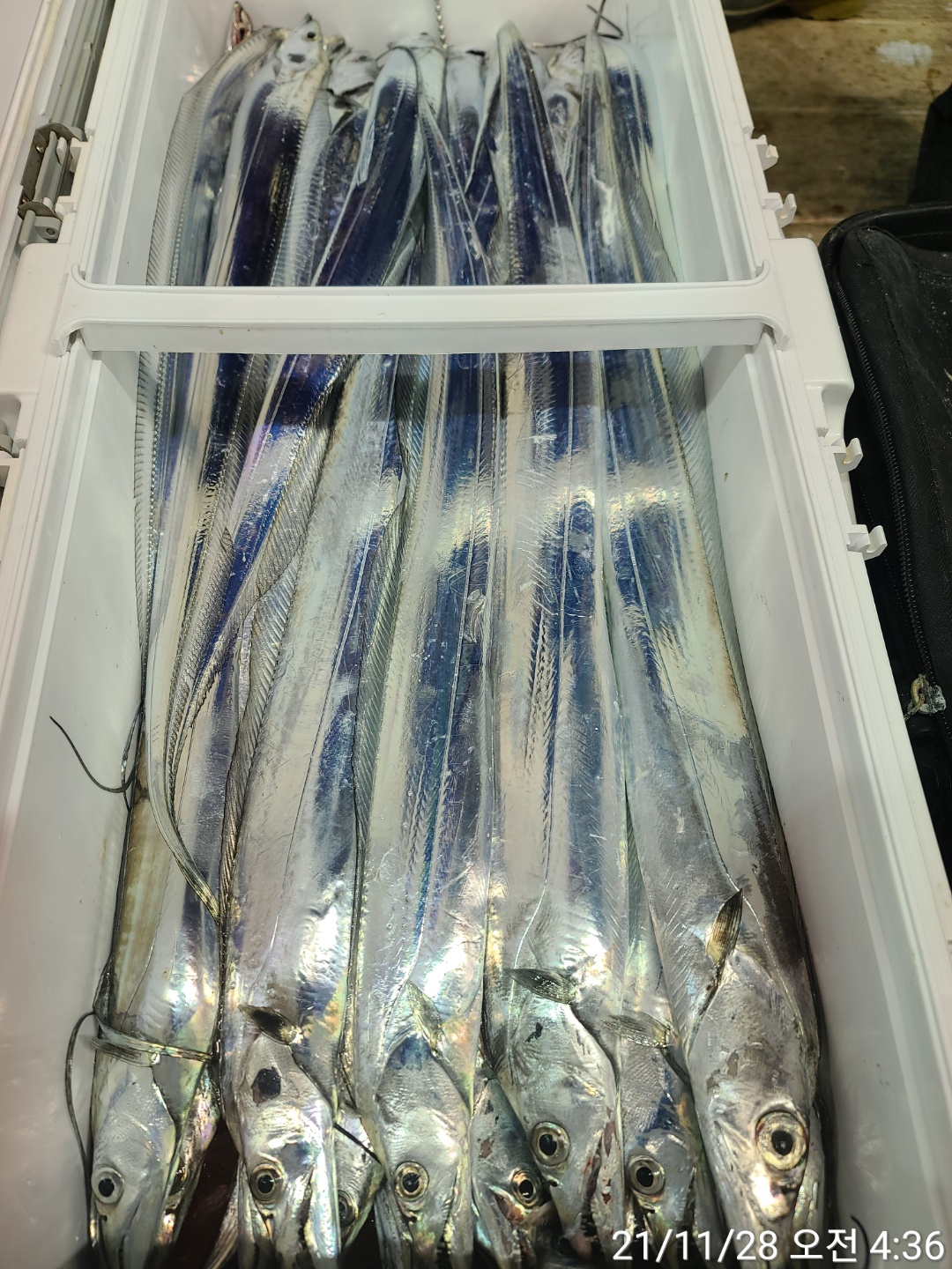 media&amp;token=53eb3ef4-0454-4bd9-9b2c-7b3336ed516e