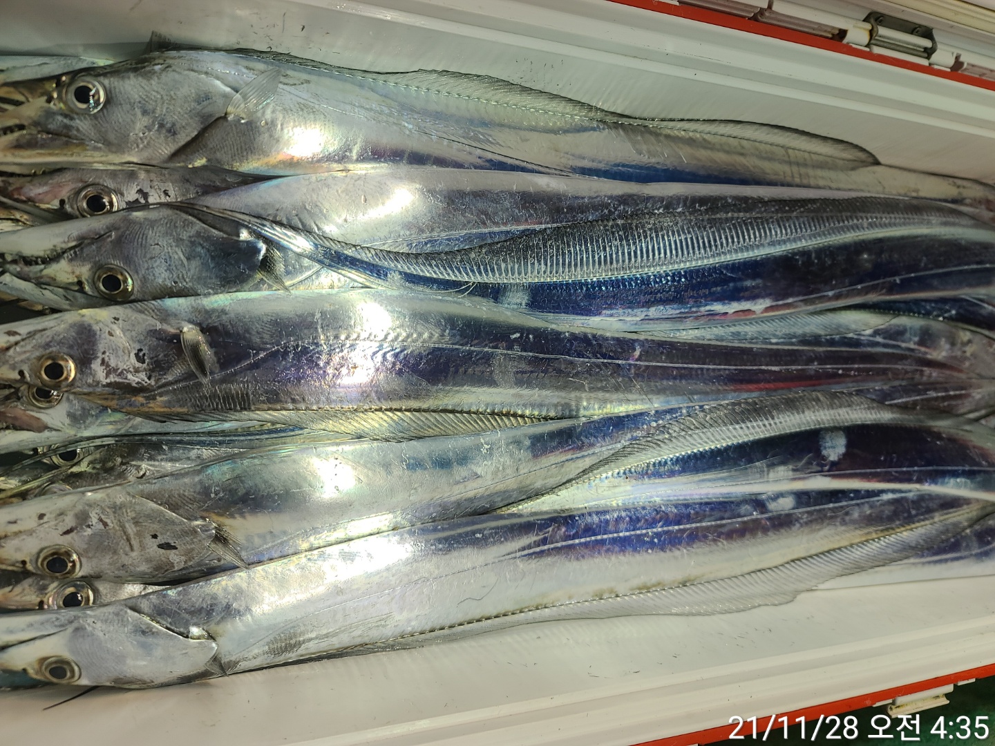 media&amp;token=1711b08e-b7ea-4868-a356-6802ad474471