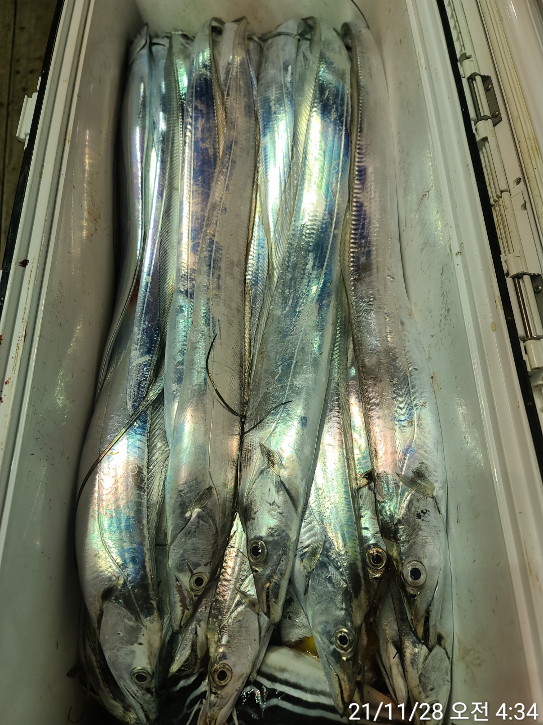 media&amp;token=985172fe-700a-4e3c-bfc0-561583c41214