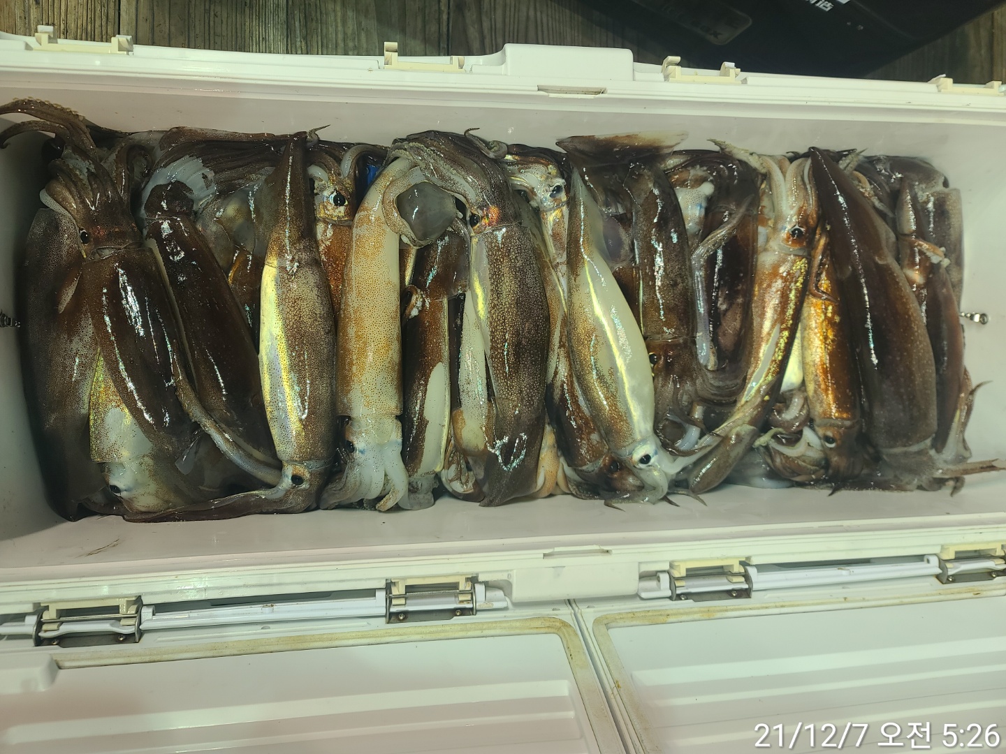 media&amp;token=7594312c-4a3f-4a5c-87af-ae8c1463fe8b