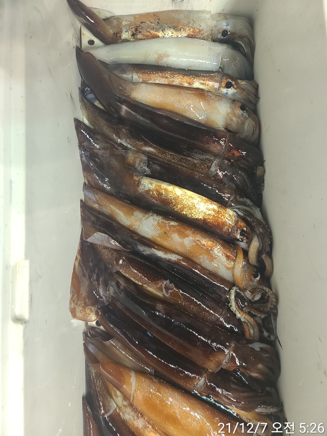 media&amp;token=b64ba061-66fe-4727-a814-02147a40c835