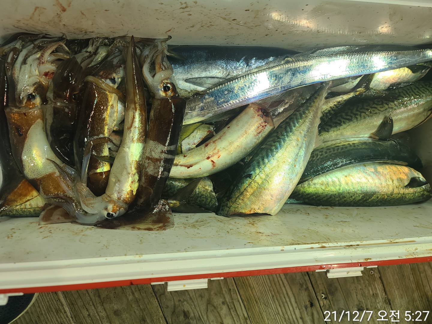 media&amp;token=2f763f69-9d96-4103-bcda-b935e53ec3da