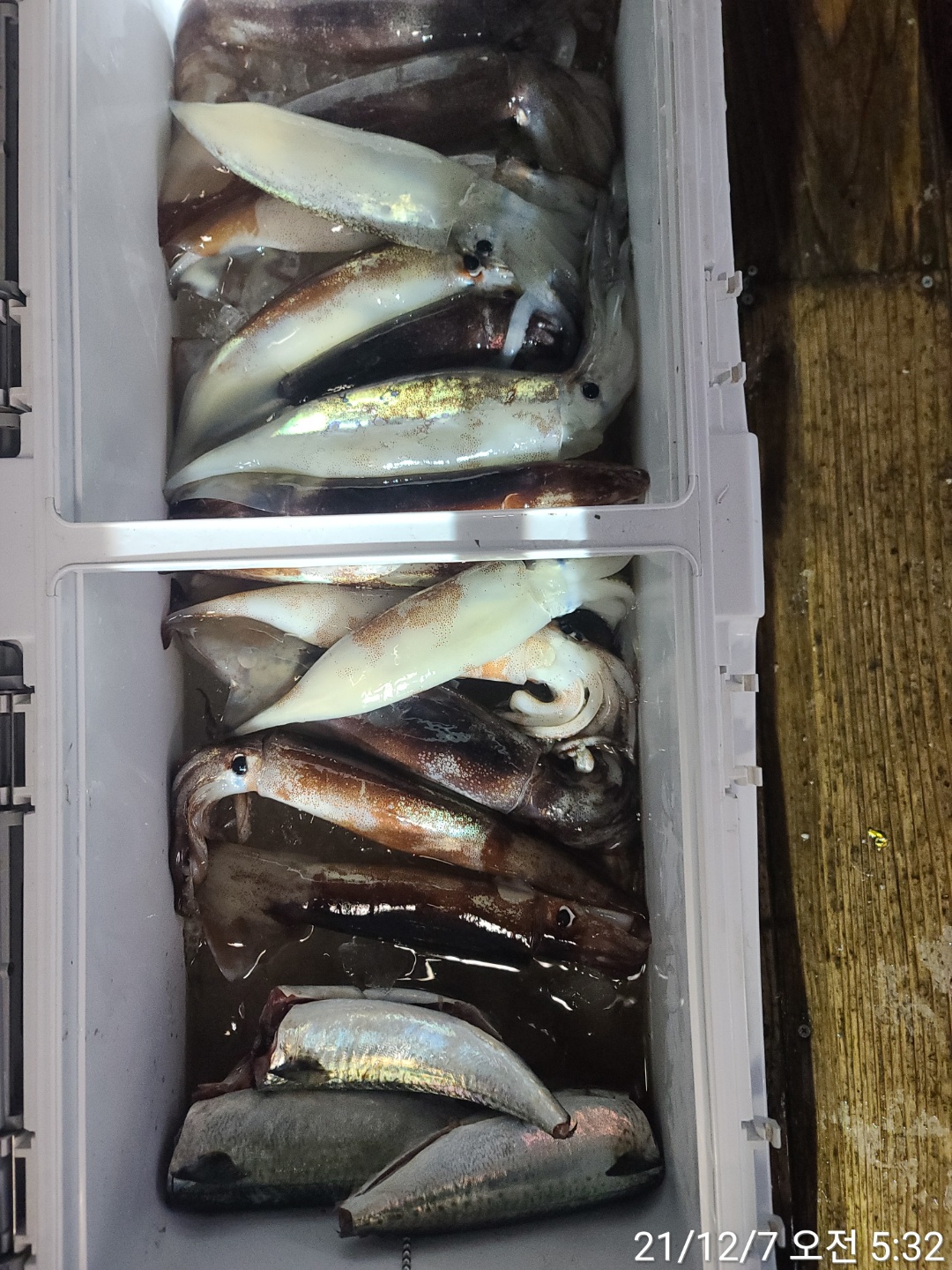 media&amp;token=4156666d-aaa7-4a9d-8aec-b2764b8e3310