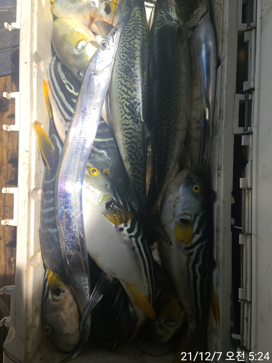 media&amp;token=71650845-ffca-41a9-87c6-6df7ddd63908