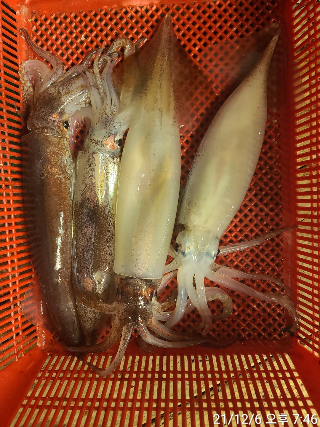 media&amp;token=38817998-2608-406d-8cc1-fd666026e02f