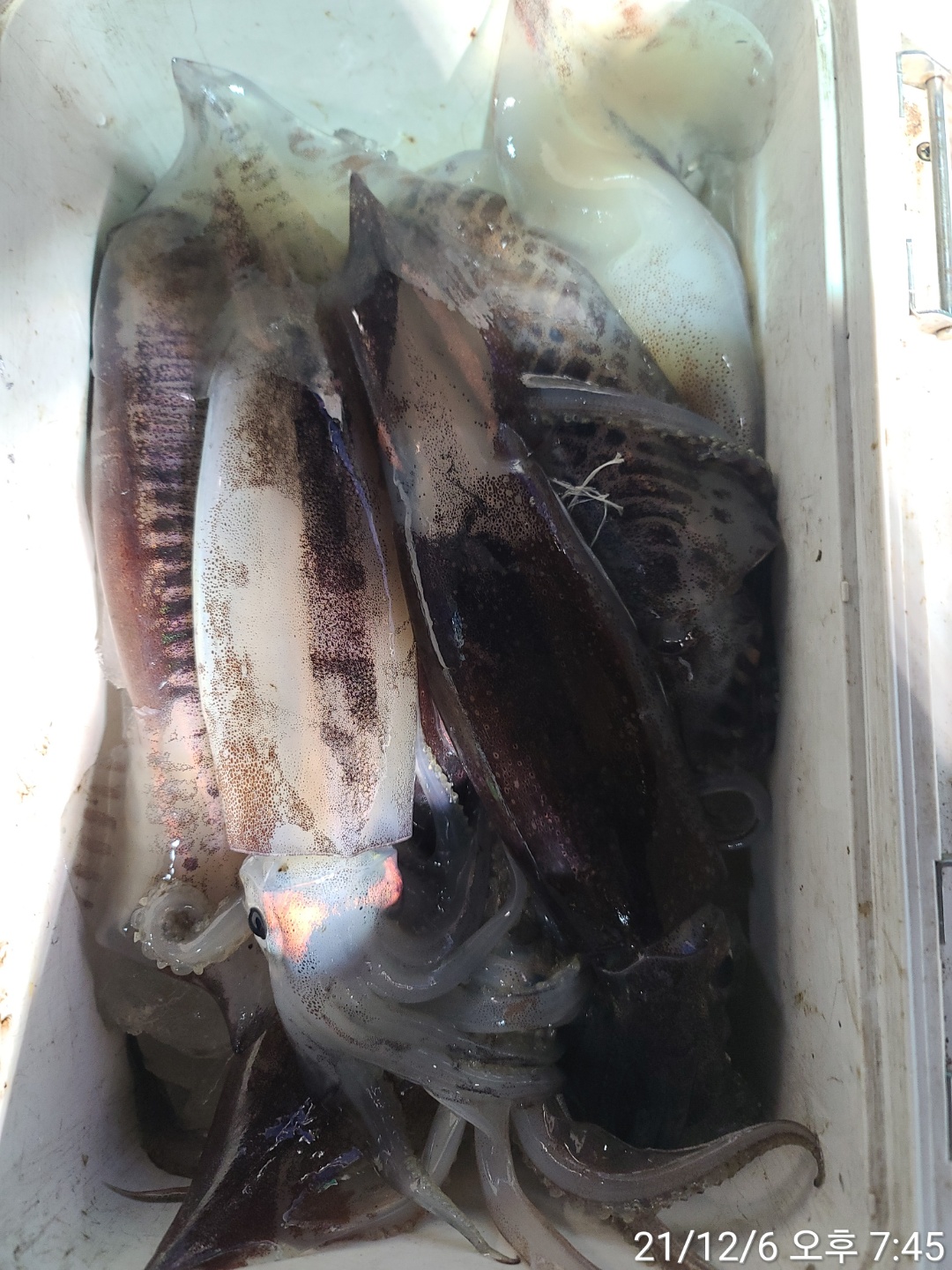 media&amp;token=63459673-e7f2-43e3-a7a4-483d161fdd88