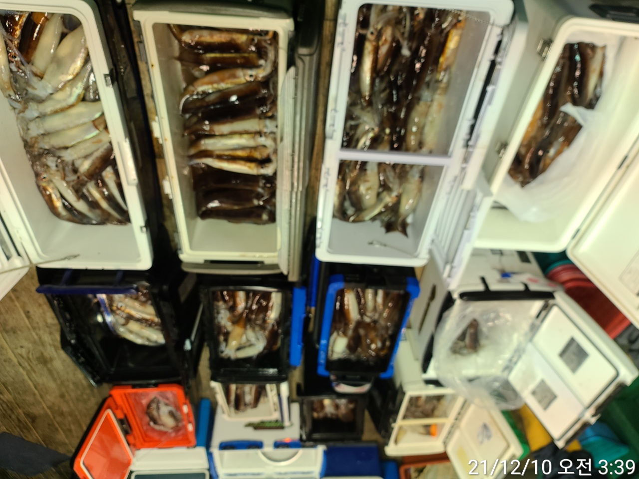 media&amp;token=081d7a43-488b-4c0e-9c07-94e4613f7dda