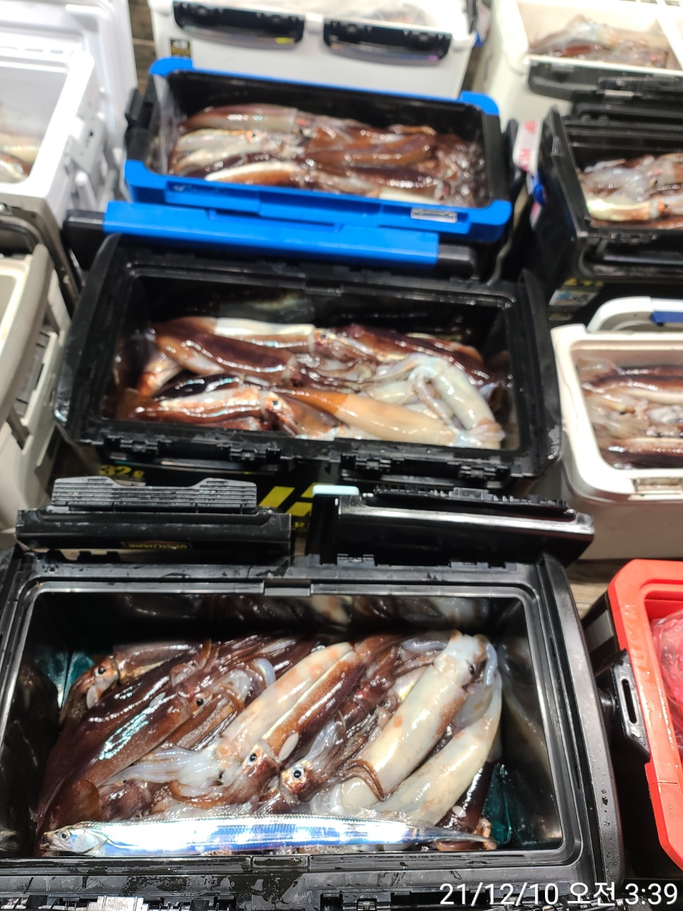 media&amp;token=cf29dd9f-9cee-445c-8482-60fa6fbb6d93