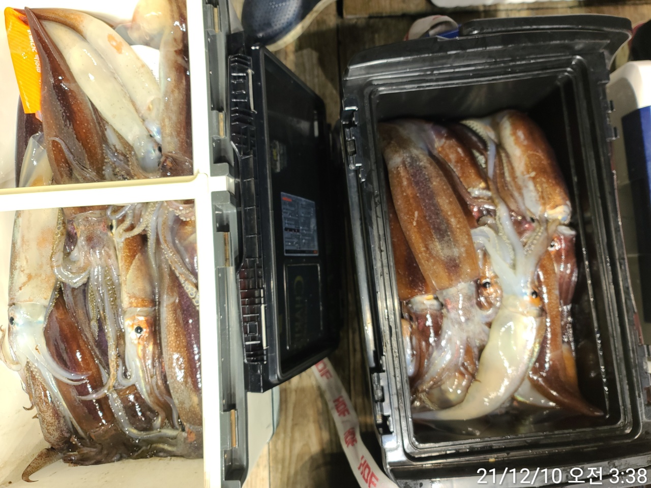 media&amp;token=1436f2a9-0c1b-4c46-93f1-35440768302c