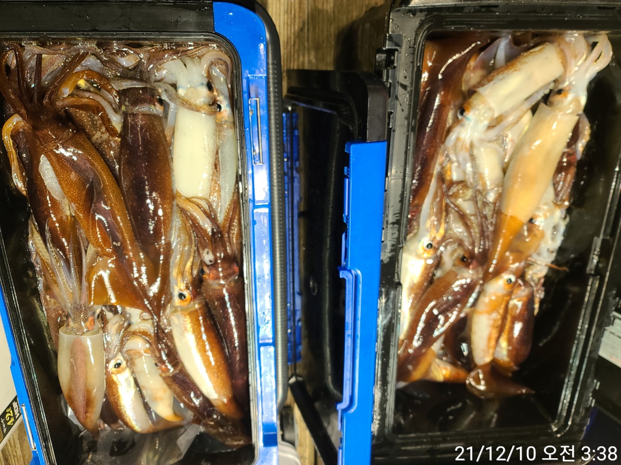 media&amp;token=88e1e92f-da10-44e1-af77-67f1cc578299