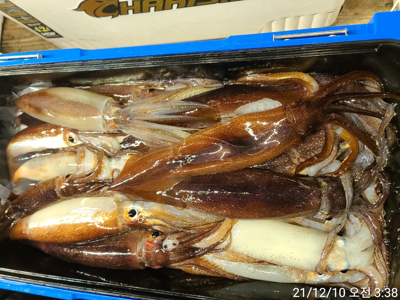 media&amp;token=46f6c68c-ea14-464d-bba4-46e9689be2ce