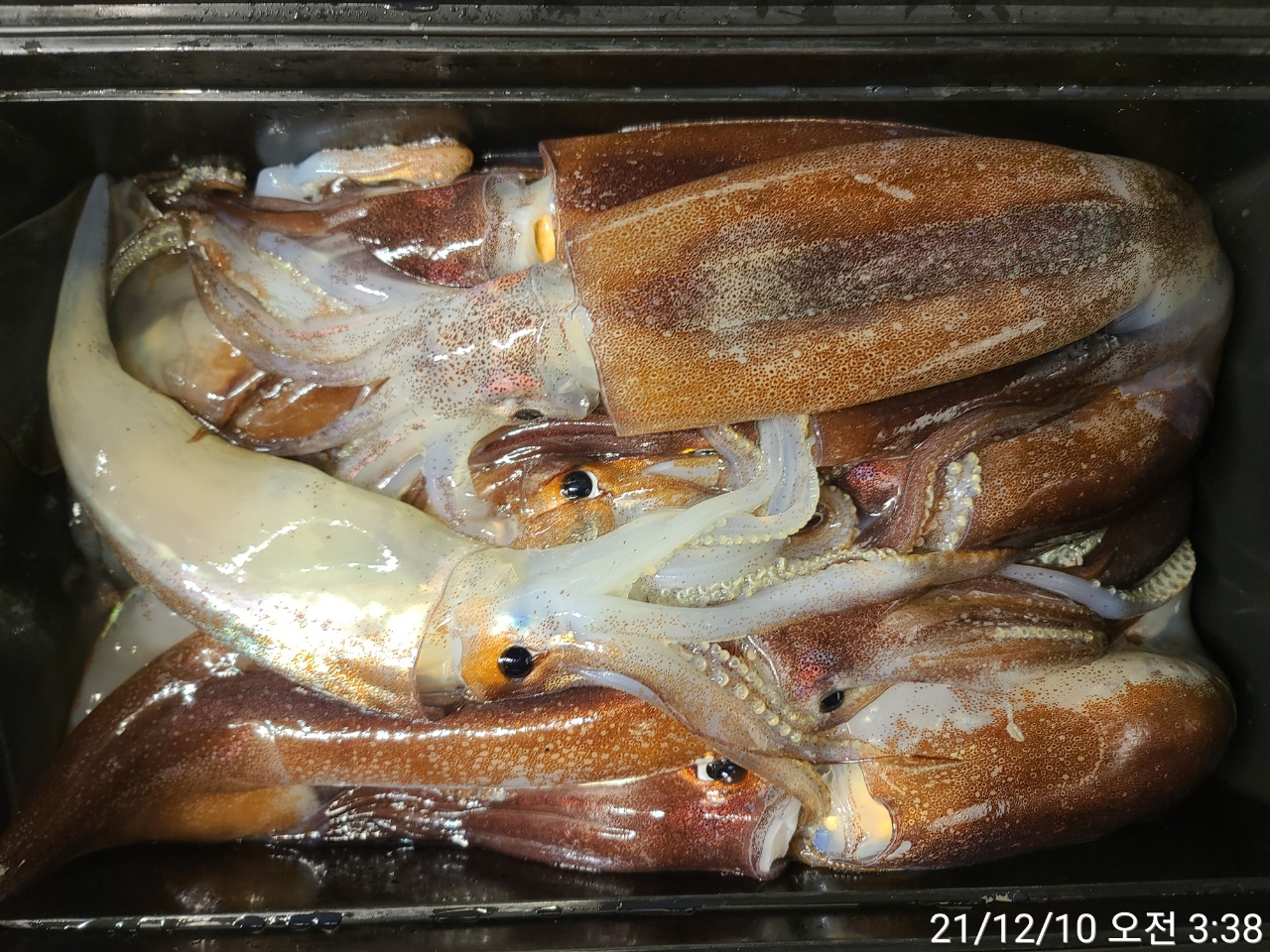 media&amp;token=65d6ca9b-78e7-4925-a497-b0ca977972e2