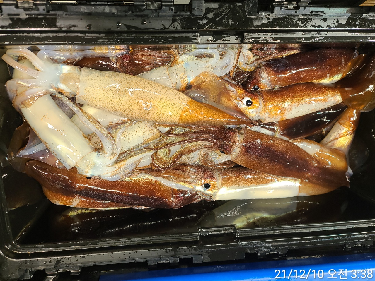 media&amp;token=221a2971-cead-483a-86d6-3f27671de5b2