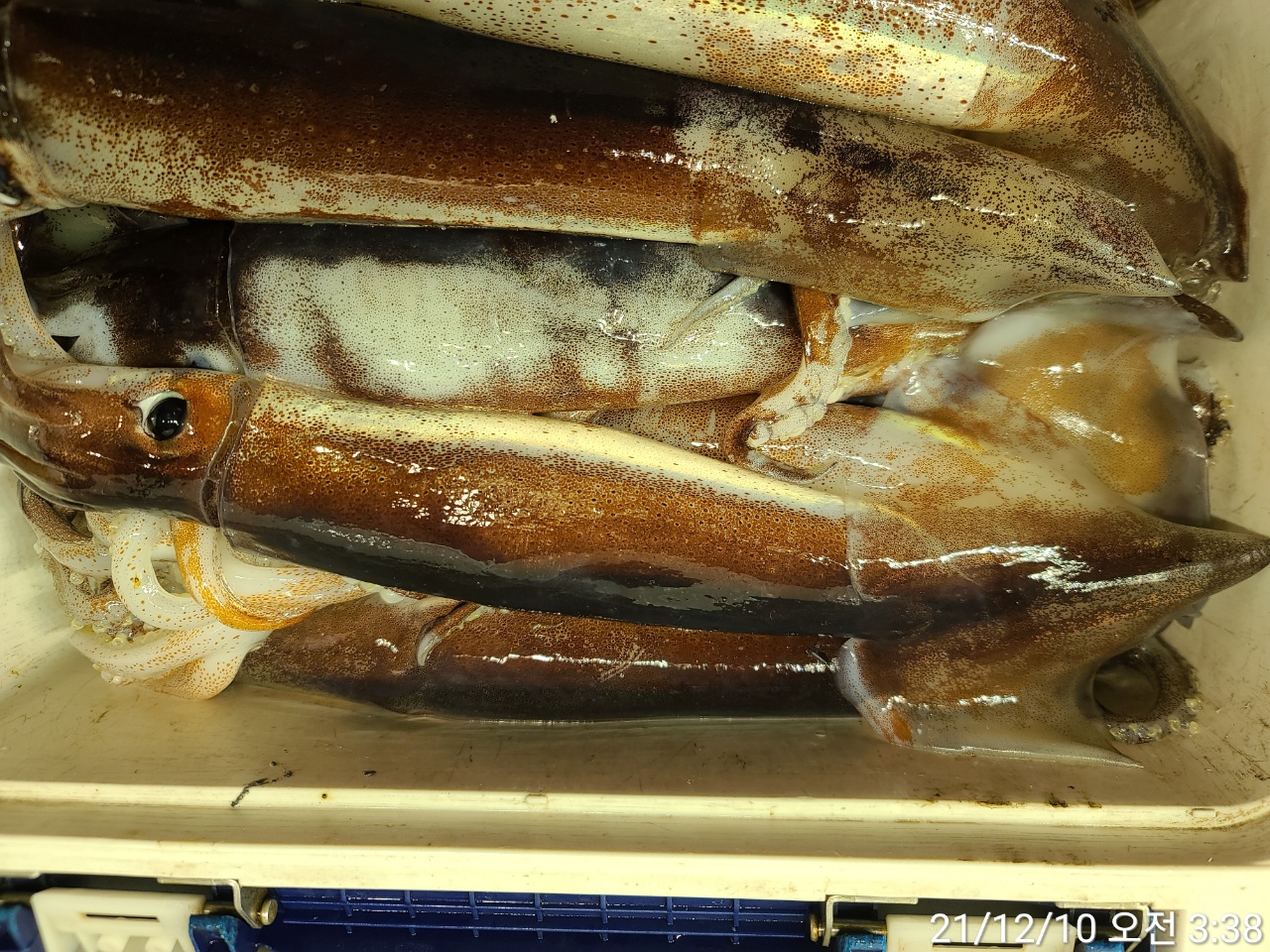 media&amp;token=808f5d4a-2d5f-439d-aacf-b961b93be4d4