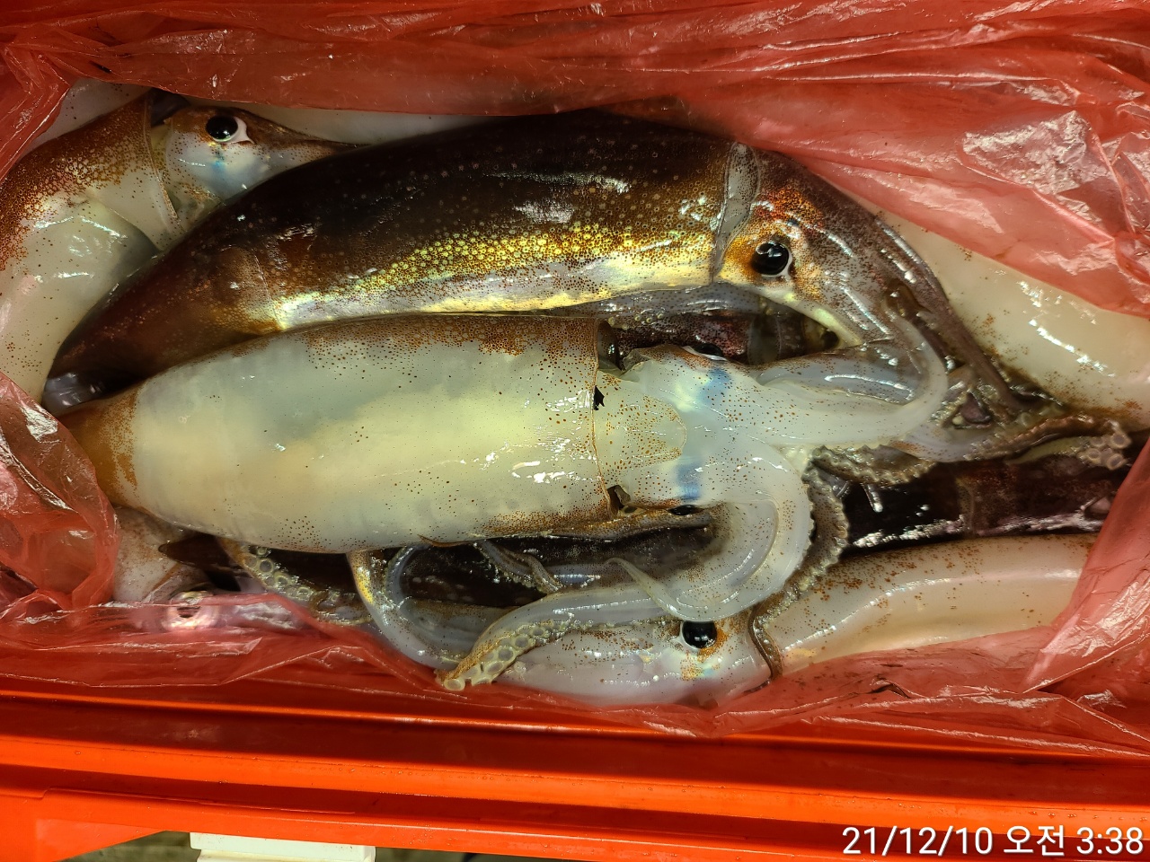 media&amp;token=65369430-28a5-4053-b410-d9e2e4dcc26c