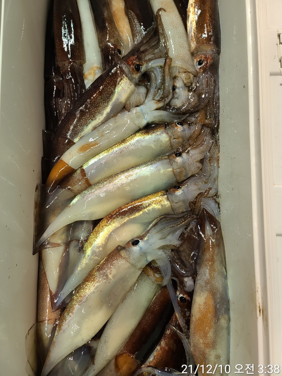 media&amp;token=aa3e5fcd-063c-4d01-be6b-6f79342f4d7e