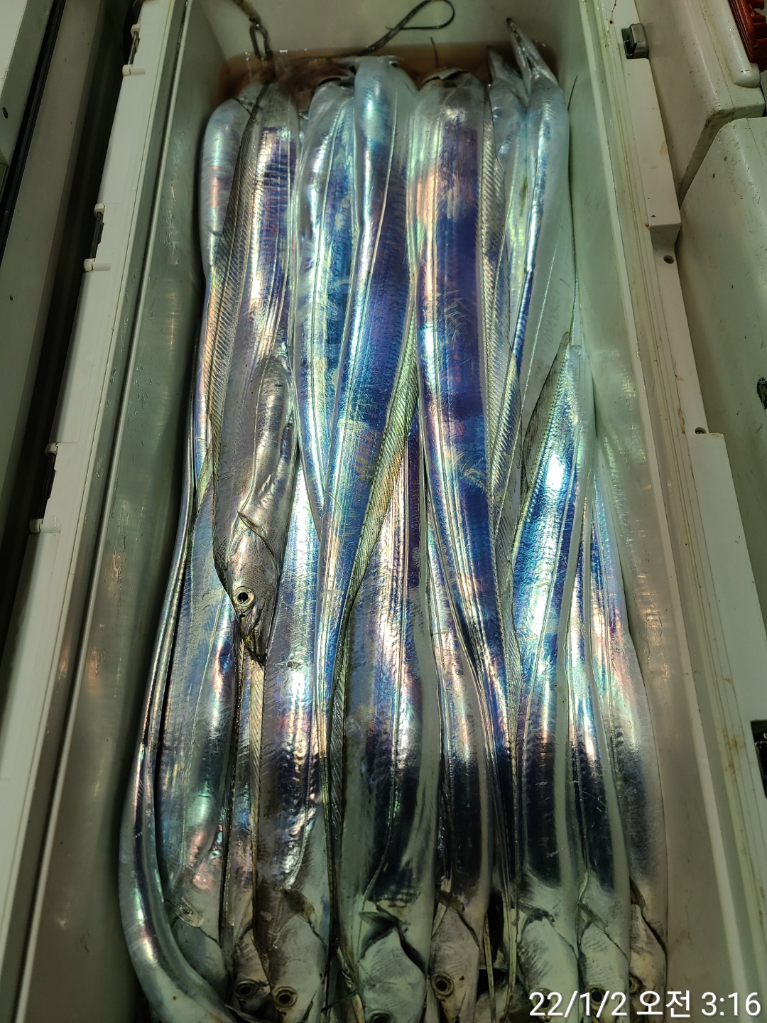 media&amp;token=8553a1fe-6547-4f3c-bf2e-be2c4b941001