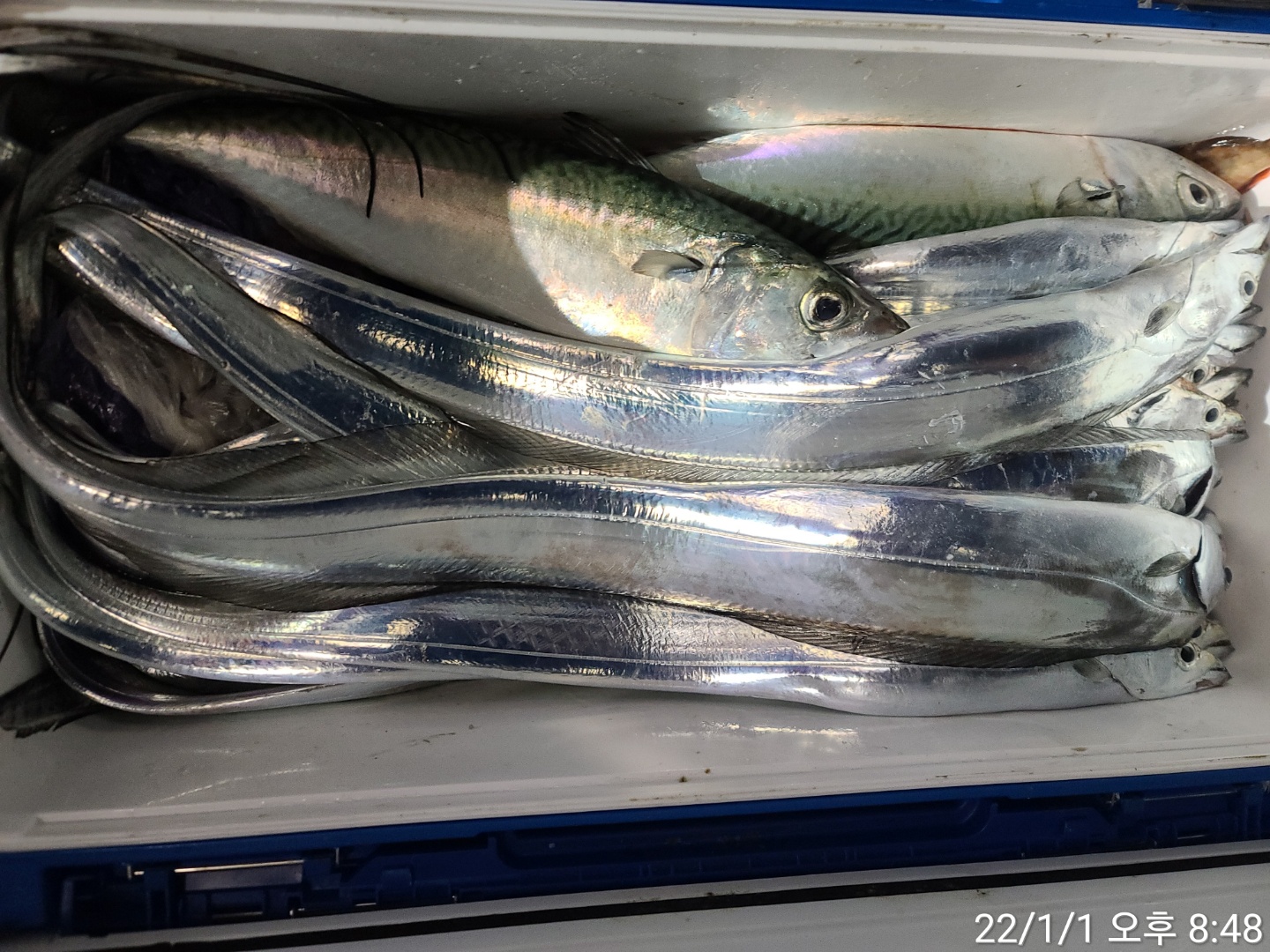 media&amp;token=c7a50798-ab25-4705-abae-915757356402