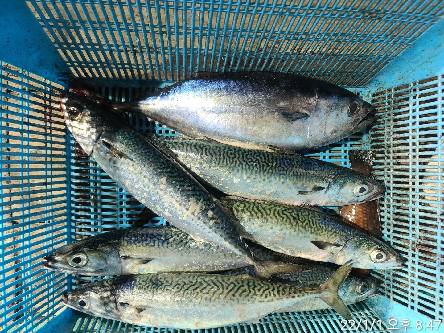 media&amp;token=1c3c1269-519a-48d1-b2cd-54aae96ec0d8