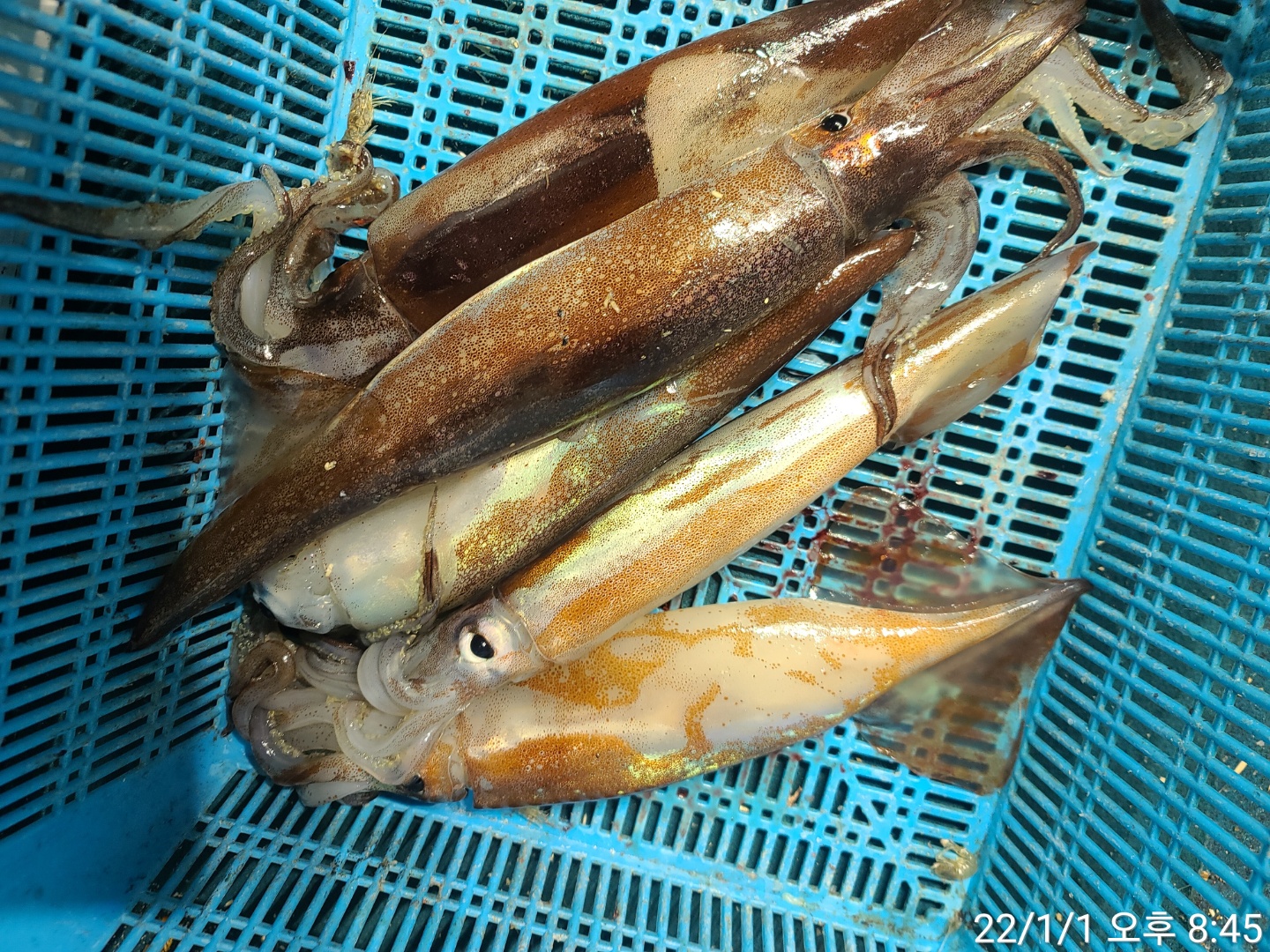 media&amp;token=9bbef8f2-5b27-4265-acb0-0d86035f9819