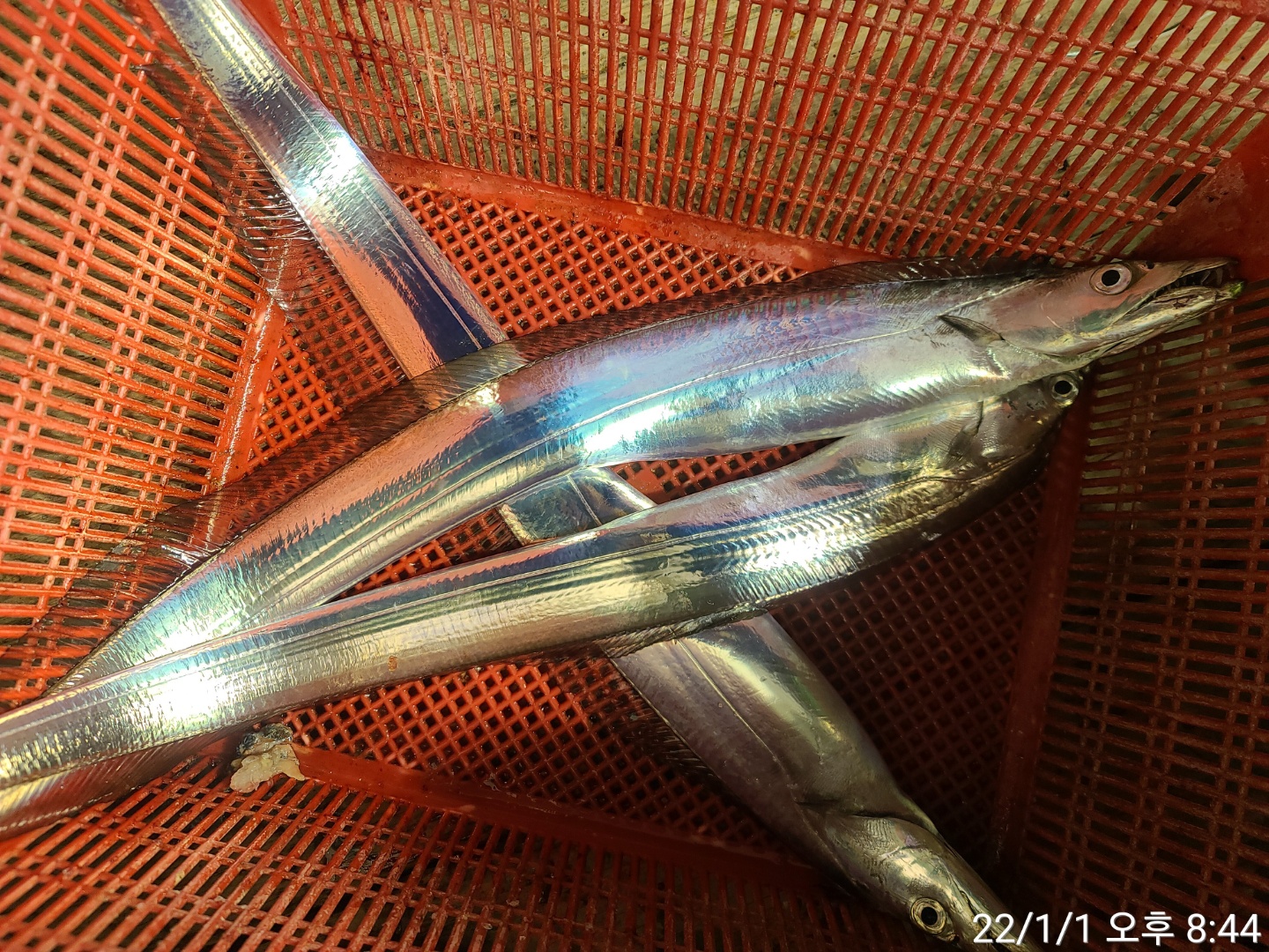 media&amp;token=c3f49bbe-8440-4643-b650-edc9eed2dde4