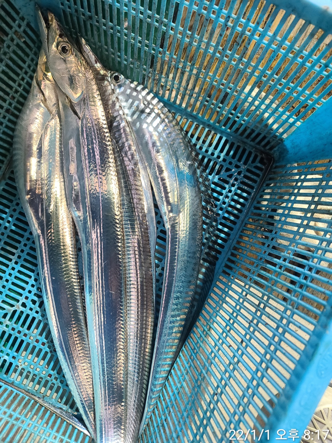 media&amp;token=b760f15a-5b1d-4a3f-8def-1f77f8914098