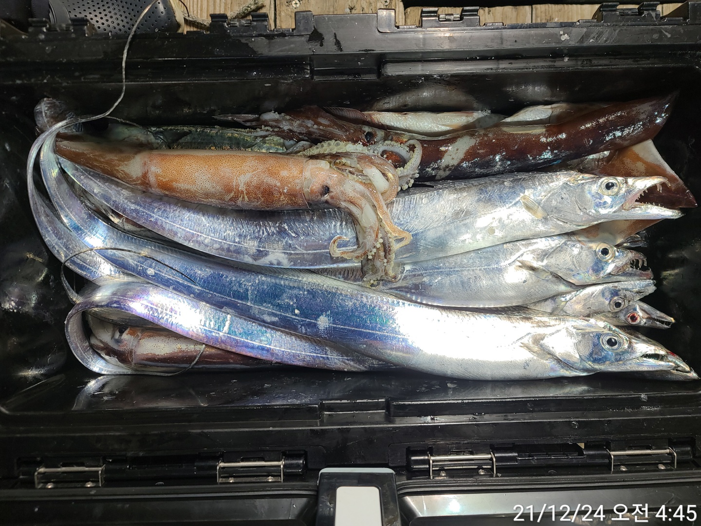 media&amp;token=6c445e56-c157-428c-b53c-13444ff85271