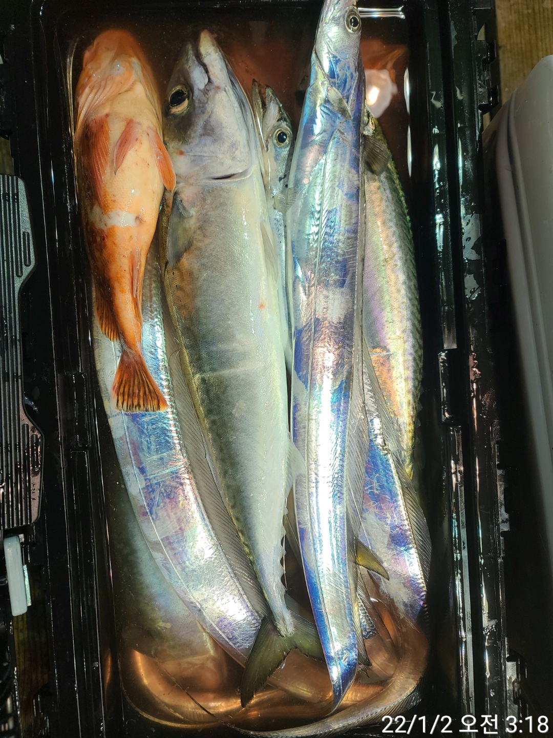 media&amp;token=bc343347-14fa-484e-932c-0a521e1e9045