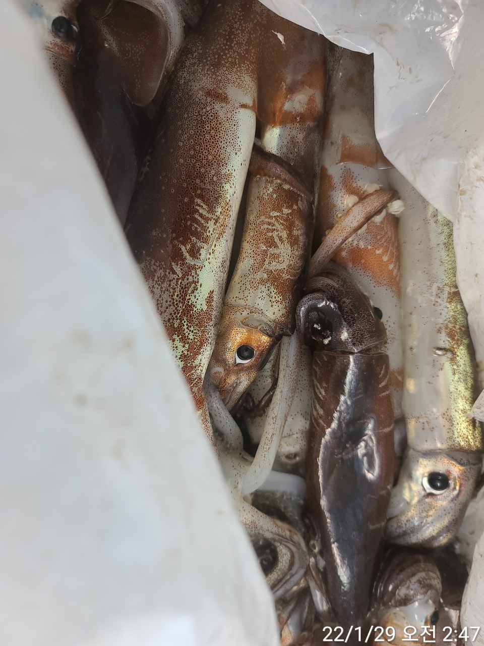 media&amp;token=8bab71e9-992a-476d-b9cf-d551571a1b64