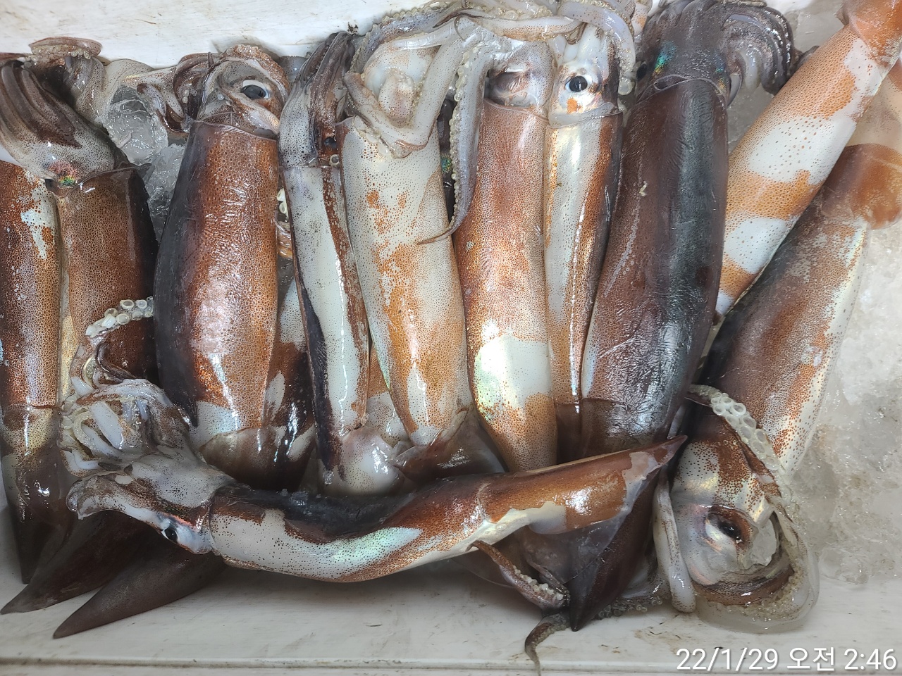 media&amp;token=fe95fde4-2a50-46e3-8b61-80a7e06191b8