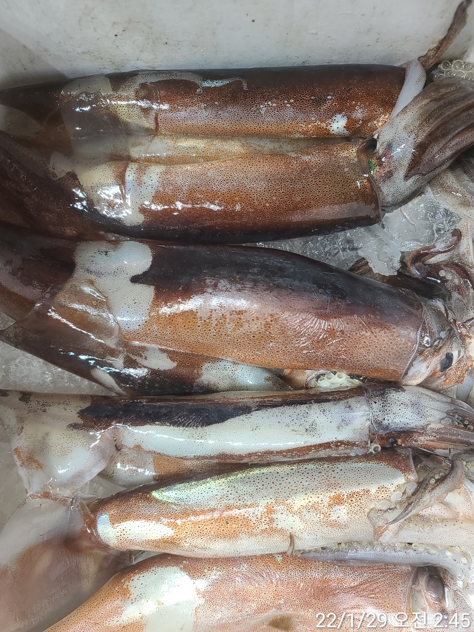 media&amp;token=e1a2f3c4-919a-4903-b5ab-0c3acdfa6a6f