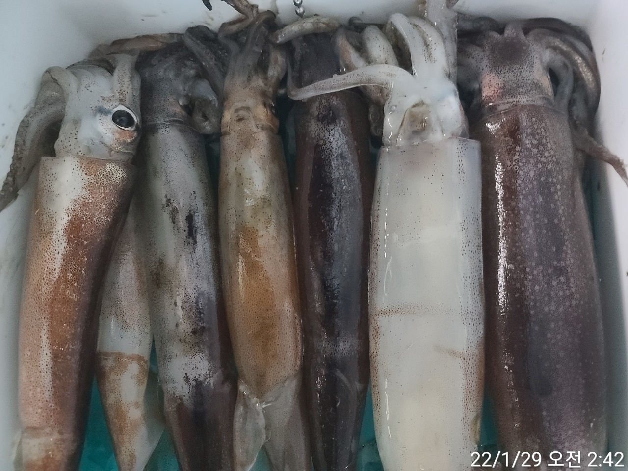 media&amp;token=75a24567-eefa-431a-9540-3b33bee4e55b