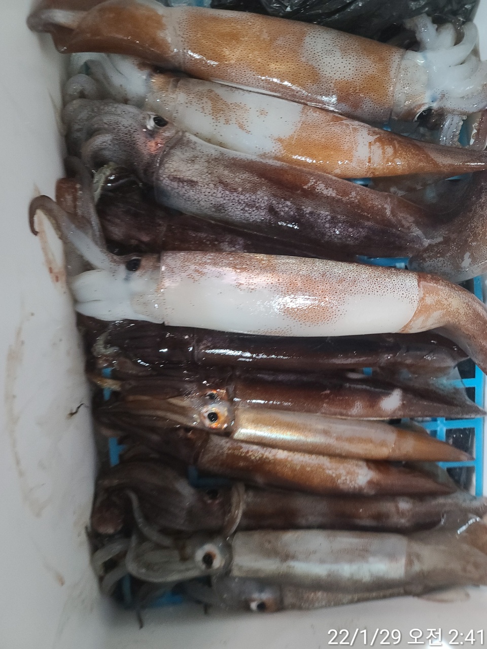 media&amp;token=58ec189d-4b61-4f0b-b790-419b1c99fce8