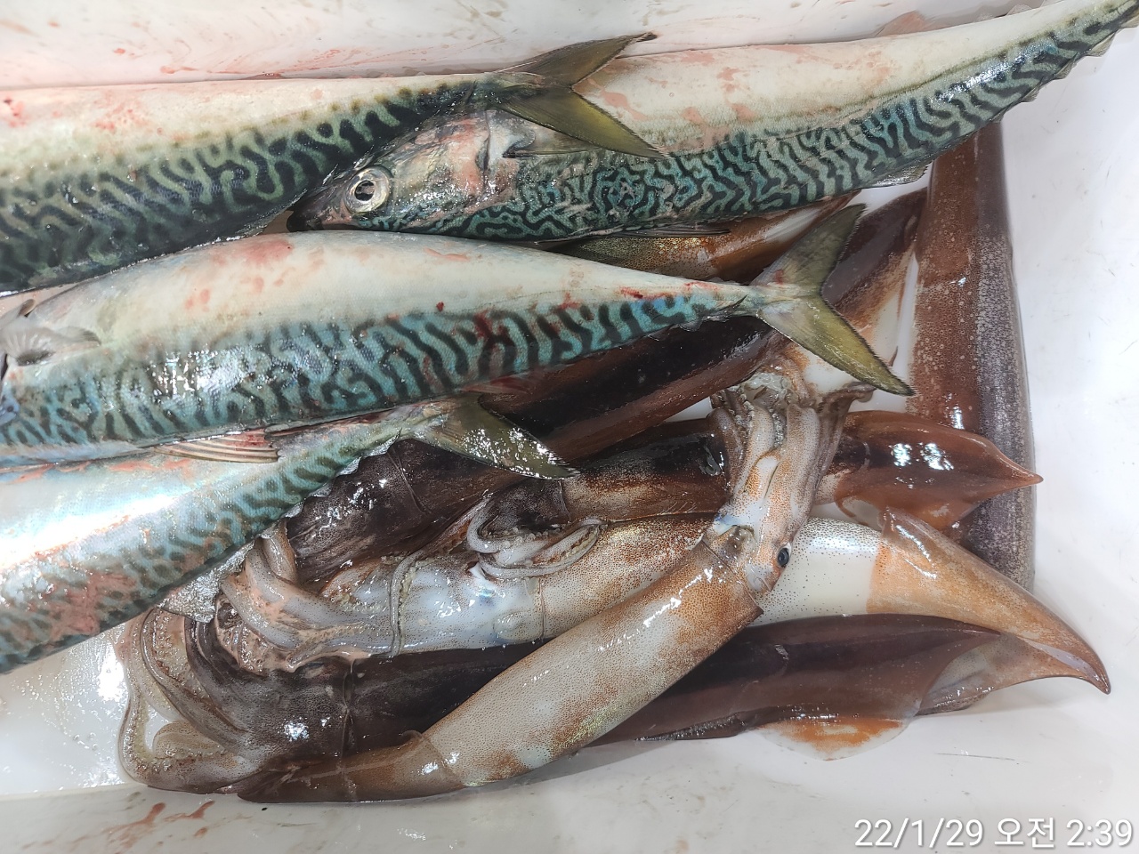 media&amp;token=88fc1920-40a0-469f-83fe-305735e1fe0c