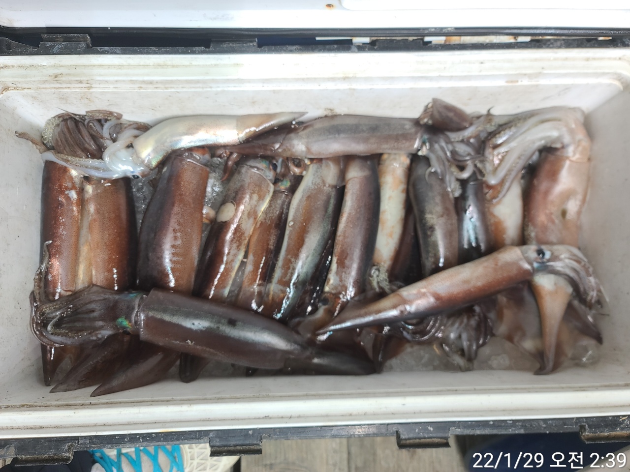 media&amp;token=cdf921c6-4f32-476b-ac4d-da89f1eeb859