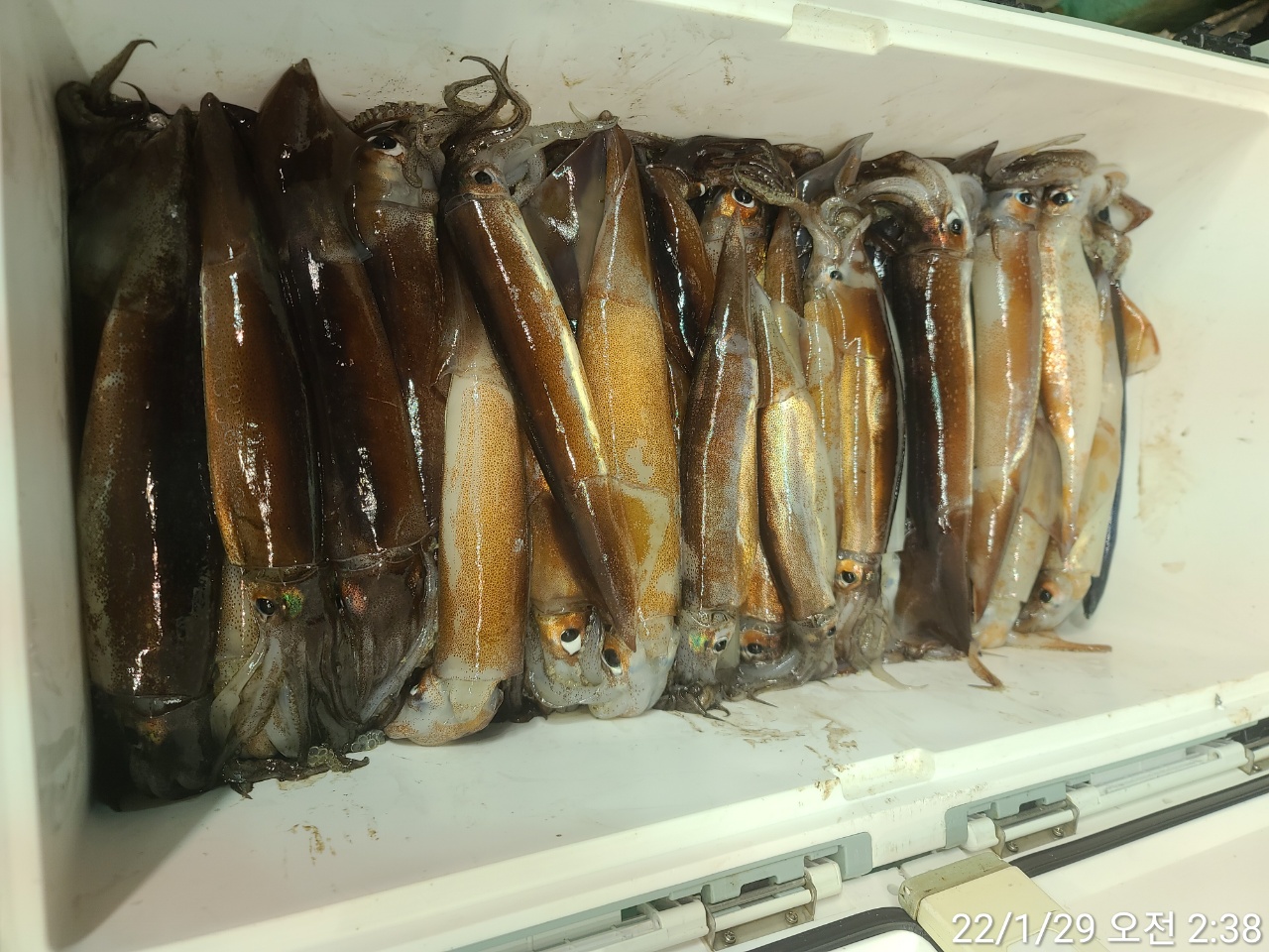 media&amp;token=49eb918b-3795-4974-b2f3-856c2785e5bd