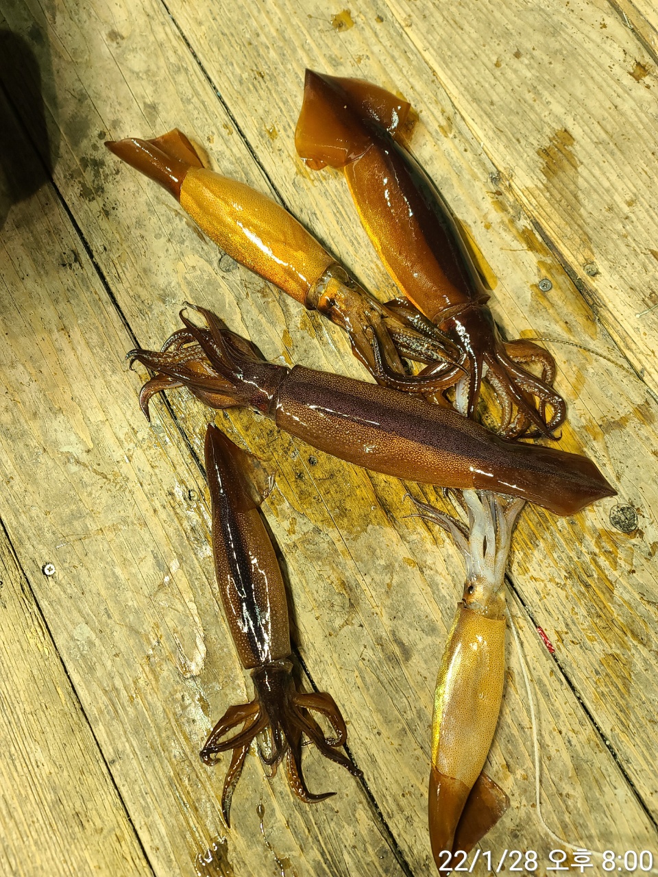 media&amp;token=a2a553c9-8ade-4621-83fb-54eb93af4184