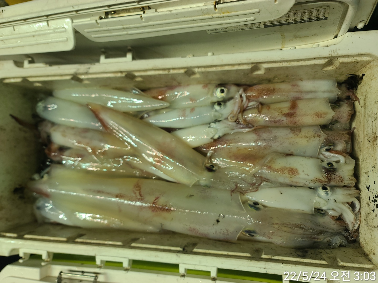 reports%2F2022%2F05%2F23%2F8_5_30%2FKaka