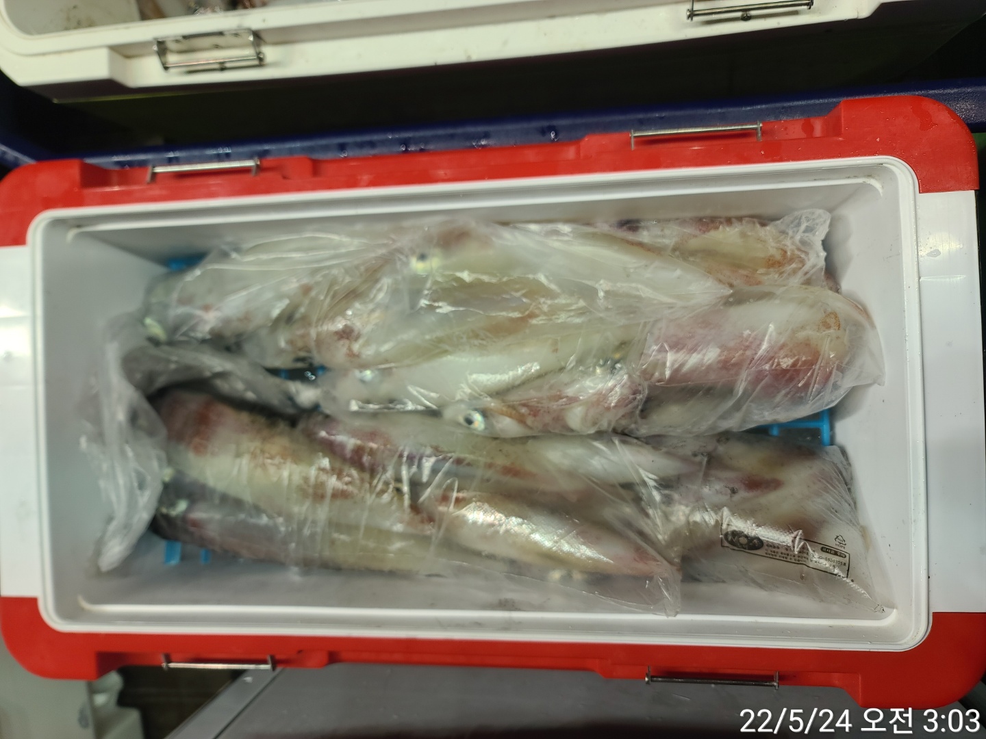reports%2F2022%2F05%2F23%2F8_5_30%2FKaka
