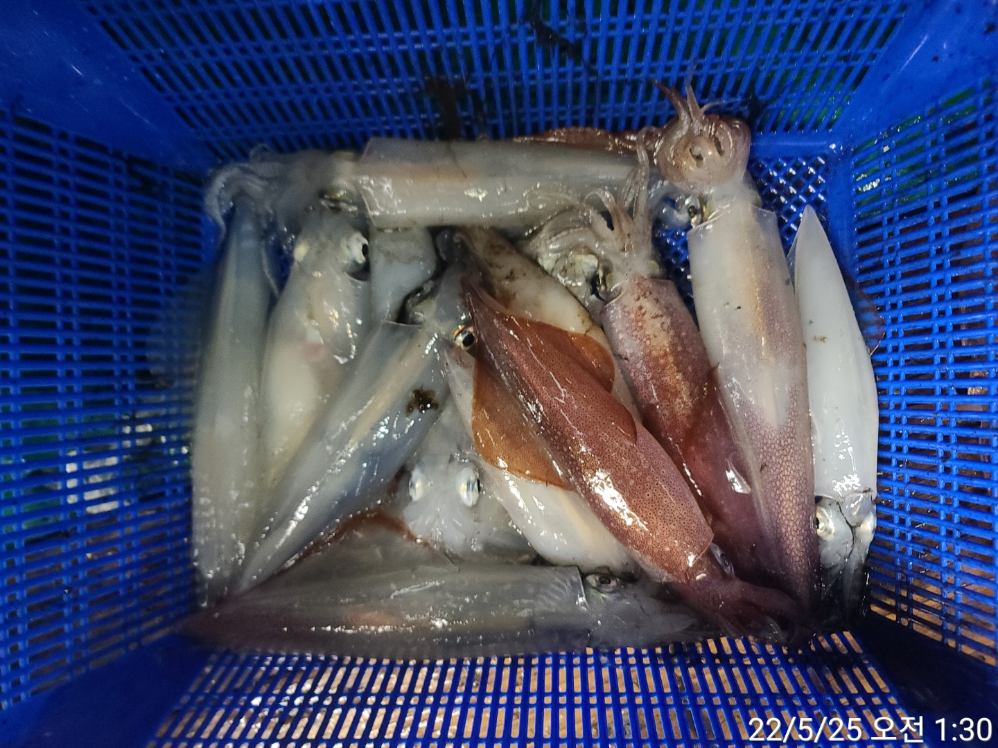reports%2F2022%2F05%2F24%2F8_3_59%2FKaka