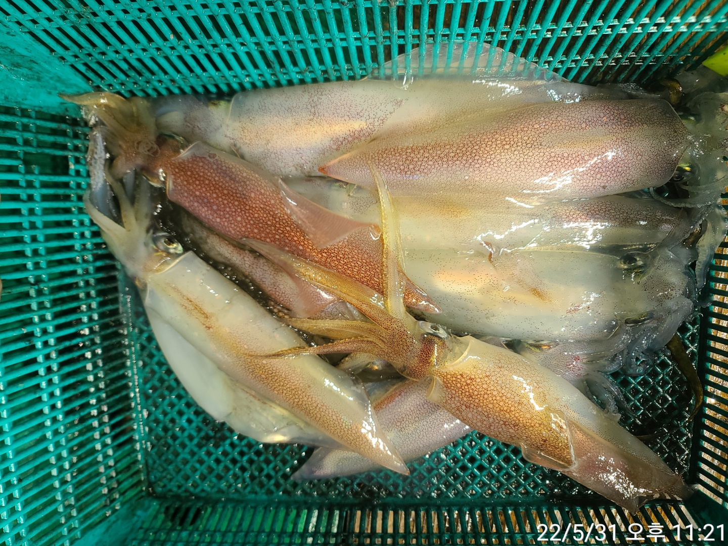 reports%2F2022%2F06%2F00%2F7_2_43%2FKaka