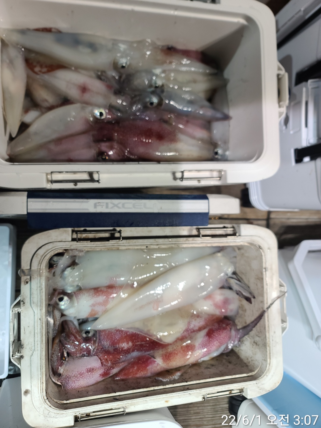 reports%2F2022%2F06%2F00%2F7_2_43%2FKaka