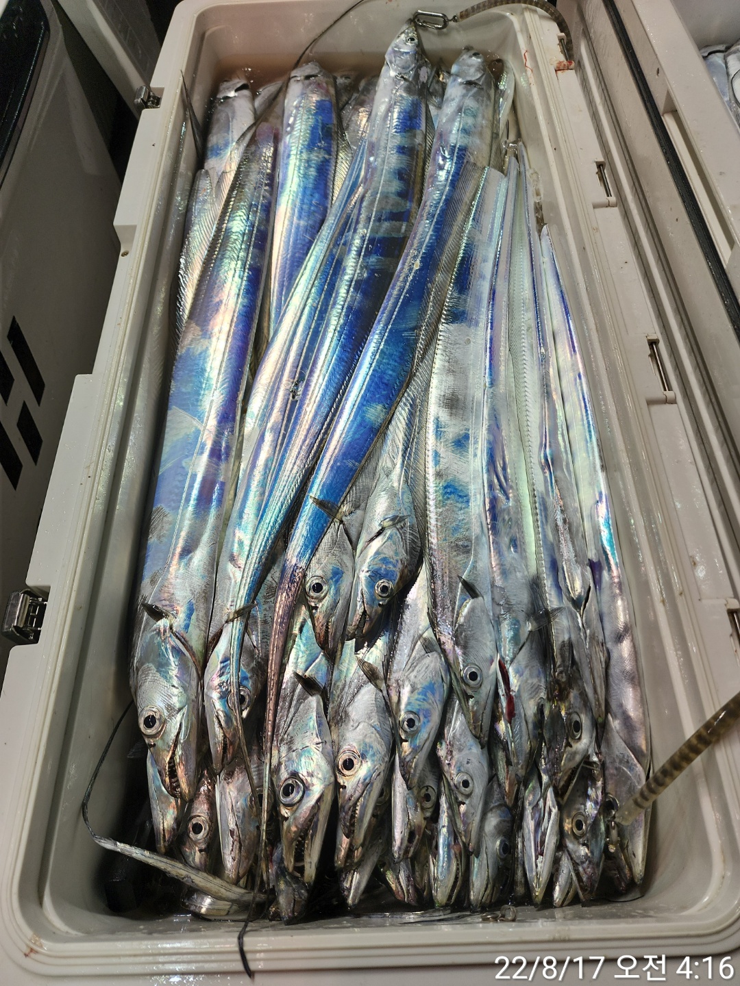 media&token=9a4d702a-582f-4e7b-bd13-449459c1bb28