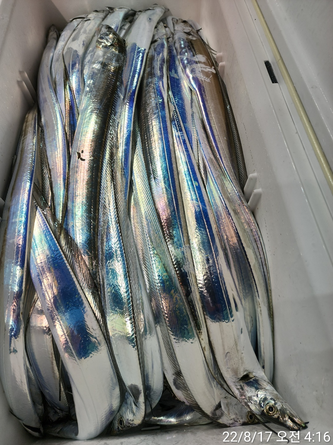 media&token=0692417f-4fec-4b44-aba7-7094b2a8dd6a