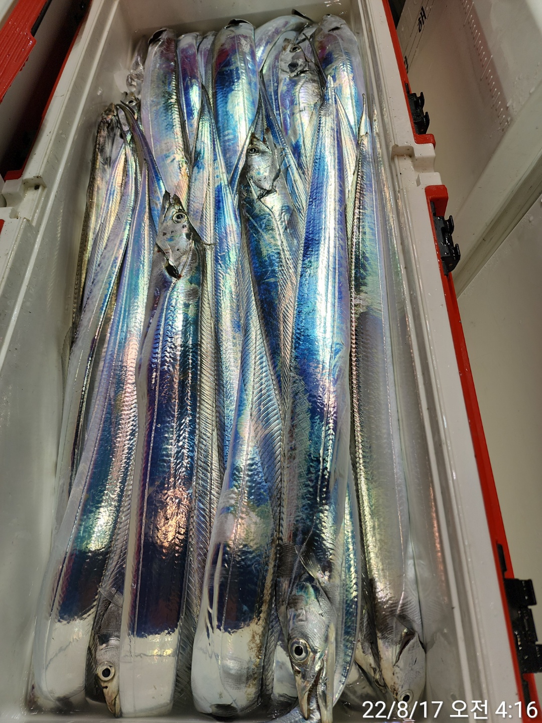 media&token=41631e1b-1f53-4a2a-9f20-d75be6bd898d